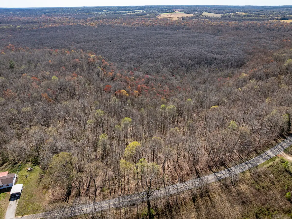 4489 Spring Creek Rd, Lavinia, TN 38348 - Image #1