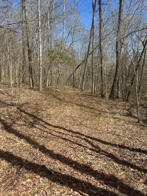 4489 Spring Creek Rd, Lavinia, TN 38348 - Image #2