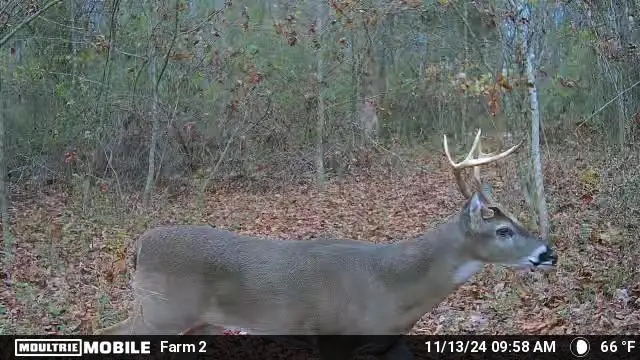 0 Duncan Road, Manchester, TN 37355 - Image #2