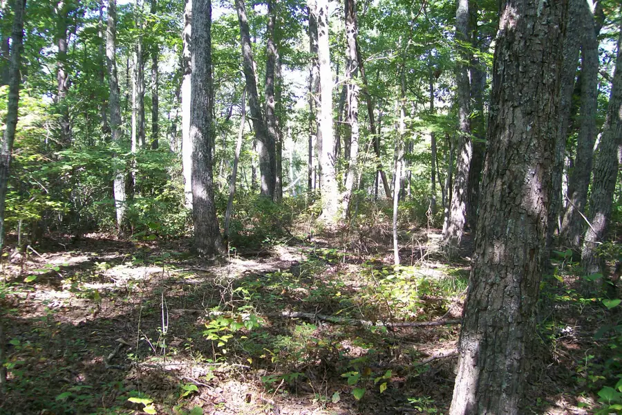 815 Eagle Nest Rd, McMinnville, TN 37110 - Image #2