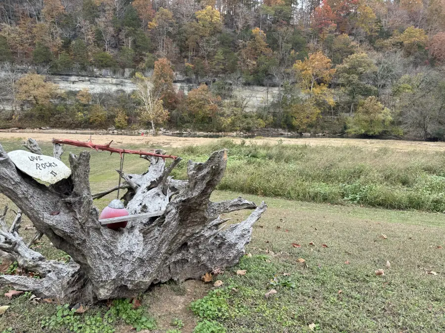 145 Big Buffalo Estates Cir, Linden, TN 37096 - Image #2