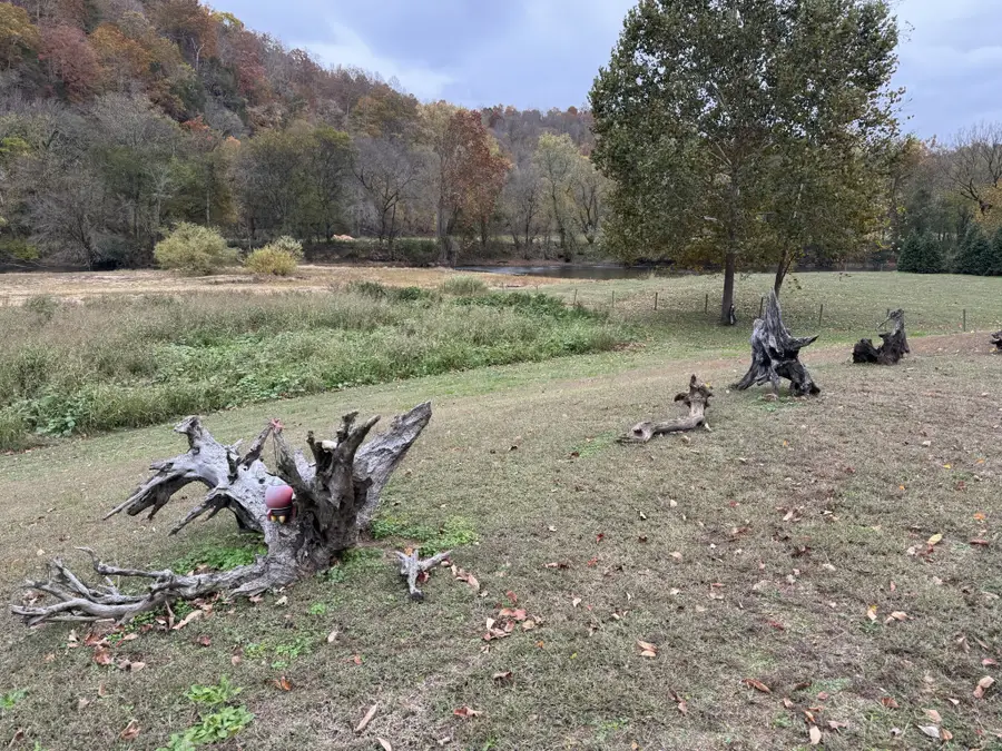 145 Big Buffalo Estates Cir, Linden, TN 37096 - Image #3