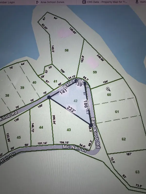 0 Bald Knob Rd, Tennessee Ridge, TN 37178