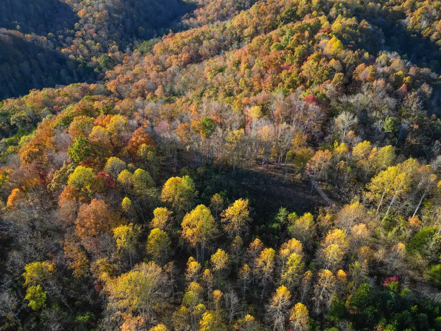 0 Rock Springs Rd, Celina, TN 38551 - Image #2