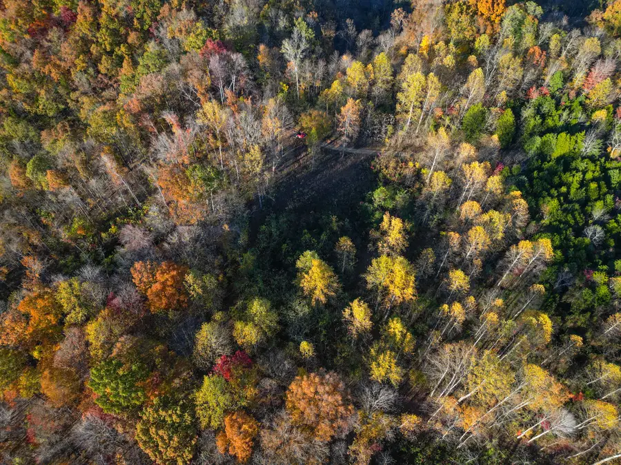 0 Rock Springs Rd, Celina, TN 38551 - Image #3