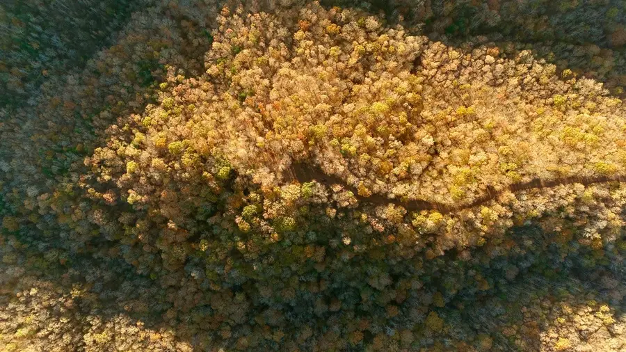 0 Rock Springs Rd, Celina, TN 38551 - Image #2