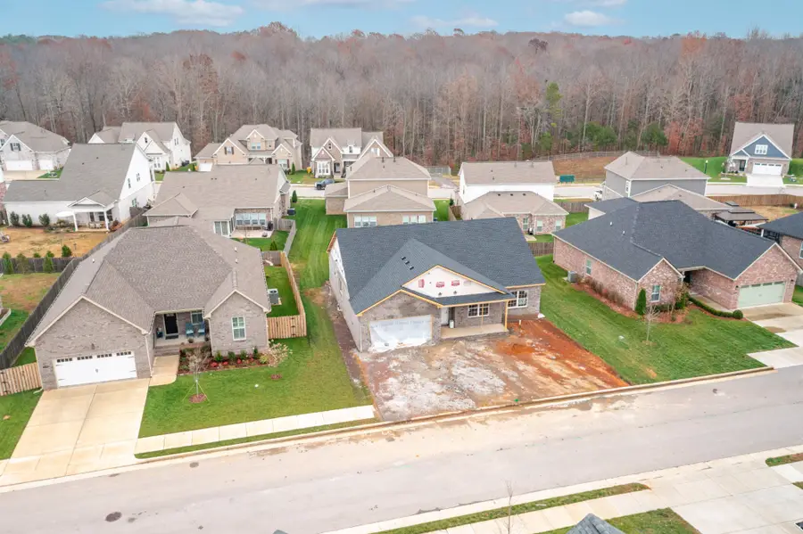 7316 Audubon Cv, Fairview, TN 37062 - Image #3