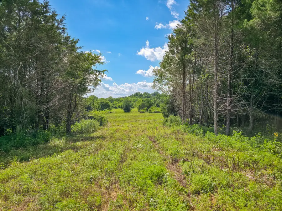 0 Double Branch Rd, Columbia, TN 38401 - Image #3