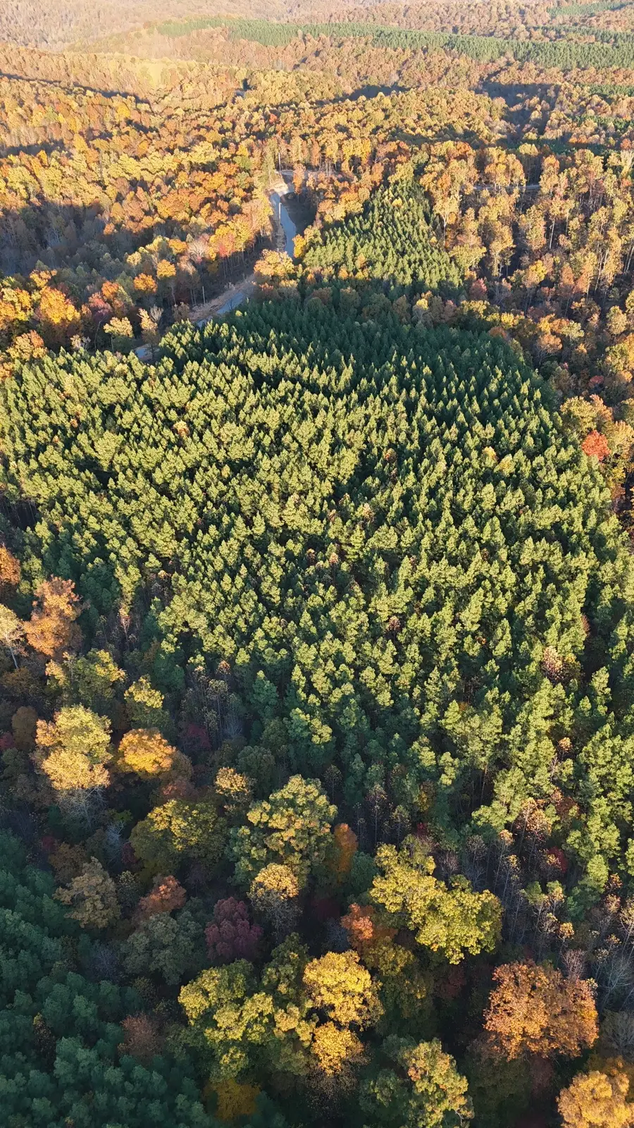 1739 Wedgewood Dr, Linden, TN 37096 - Image #2