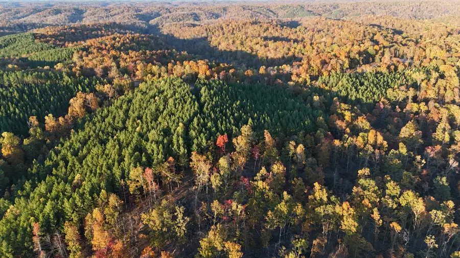 1739 Wedgewood Dr, Linden, TN 37096 - Image #3