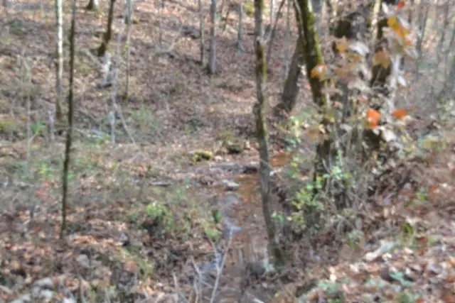 0 Wet Mill Creek Rd, Celina, TN 38551 - Image #2