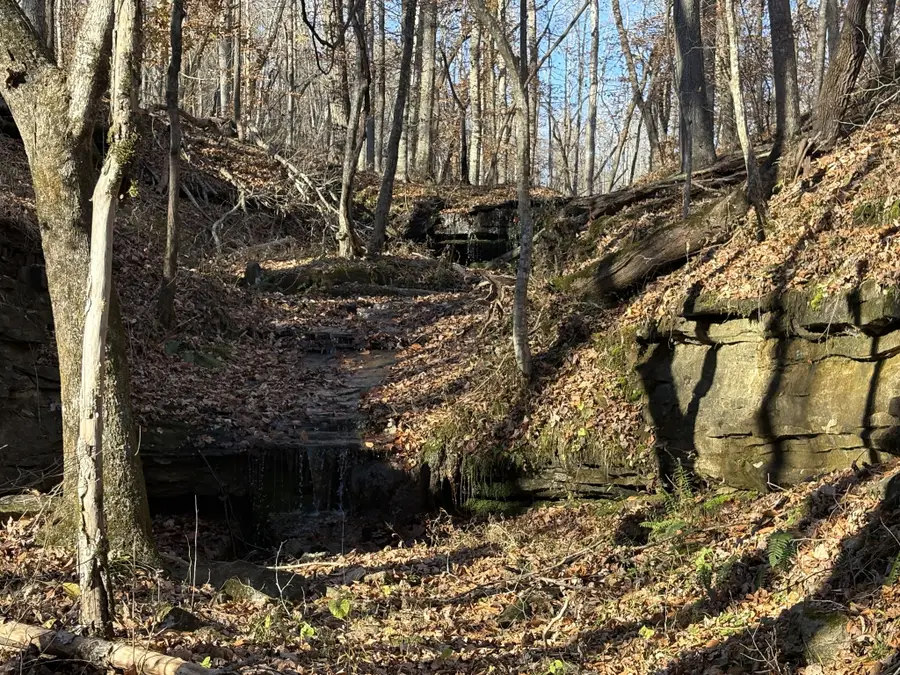 0 Pigpen Hollow Rd, Waynesboro, TN 38485 - Image #2