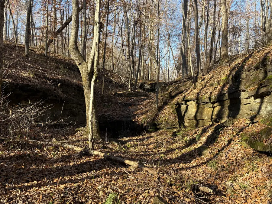 0 Pigpen Hollow Rd, Waynesboro, TN 38485 - Image #3