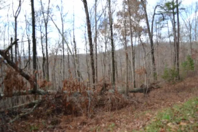 0 Tomahawk Rd, Jamestown, TN 38556 - Image #2