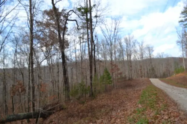 0 Tomahawk Rd, Jamestown, TN 38556 - Image #3