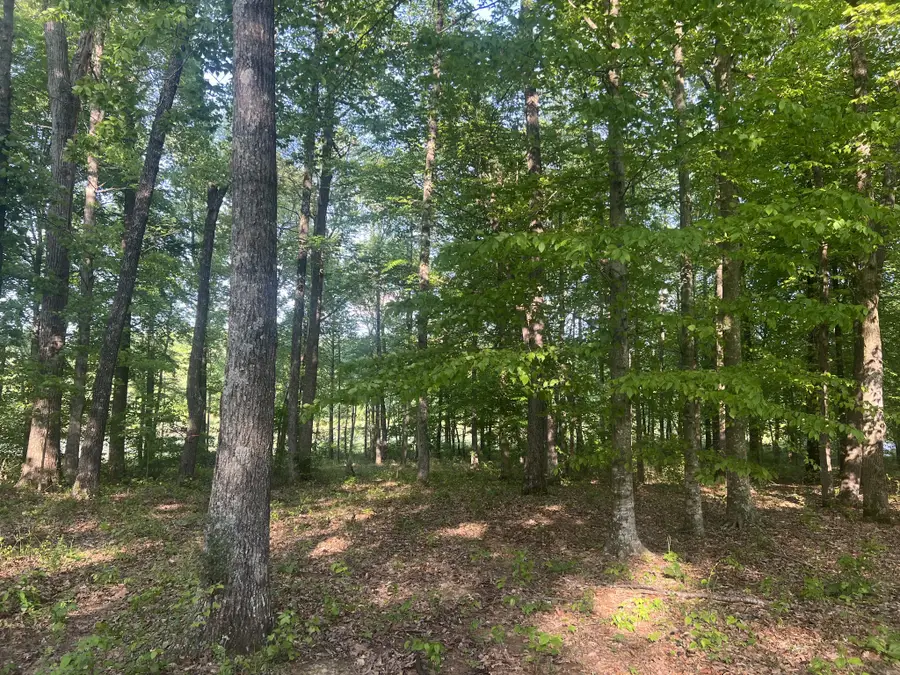 0 Excalibur Trail, Cedar Grove, TN 38321 - Image #3