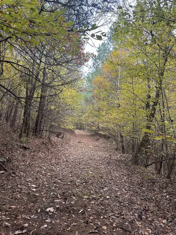 316 Arbor, Linden, TN 37096