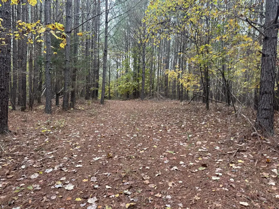 316 Arbor, Linden, TN 37096 - Image #2