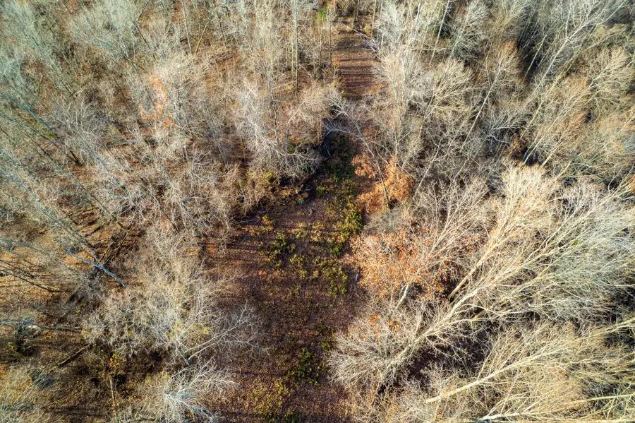 0 Hellsneck Lane, Waverly, TN 37185 - #3