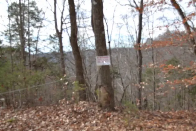 0 Frogue Rd, Burkesville, KY 42717 - Image #3