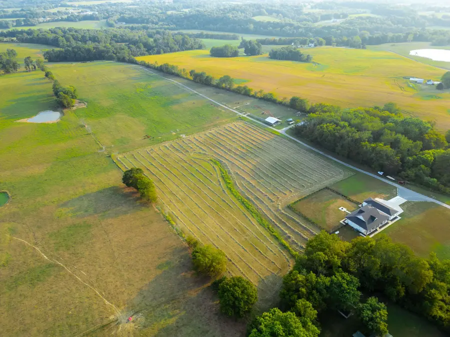 1074 Pair Six Dr, Springfield, TN 37172 - Image #3