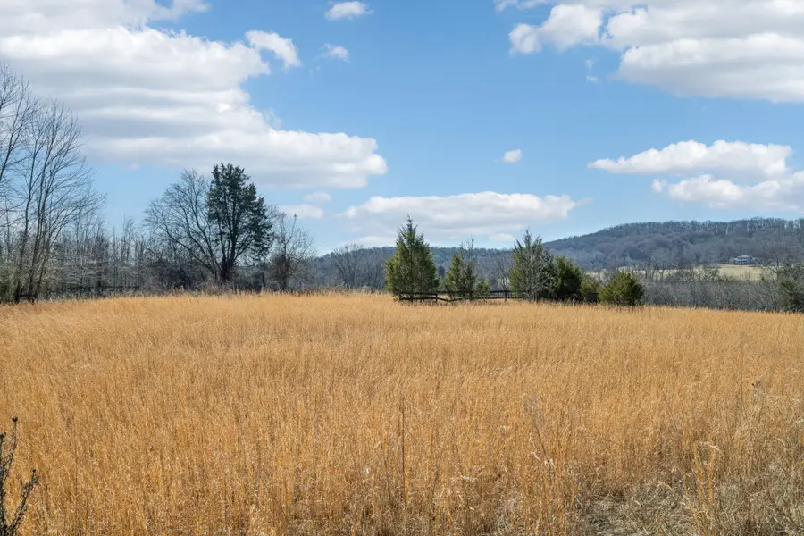 8005 Palmore Hollow Pvt Ln, Nolensville, TN 37135 - Image #3