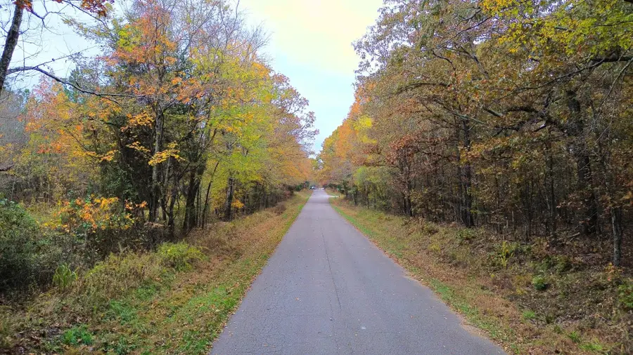 0 Point Mason Rd, Big Sandy, TN 38221 - Image #2