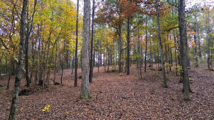 8121 Lick Creek Rd, Big Sandy, TN 38221 - Image #2