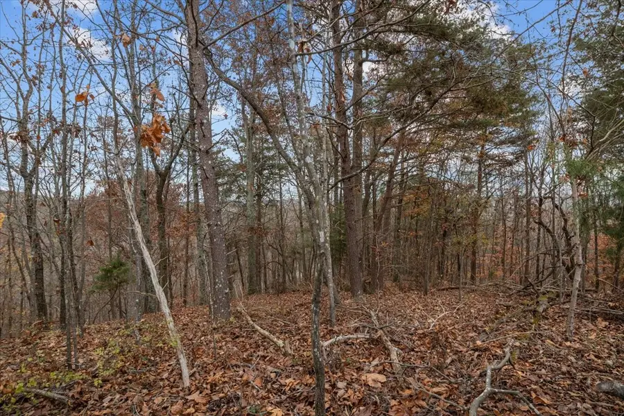 0 Riverview Lane, Waverly, TN 37185 - Image #3