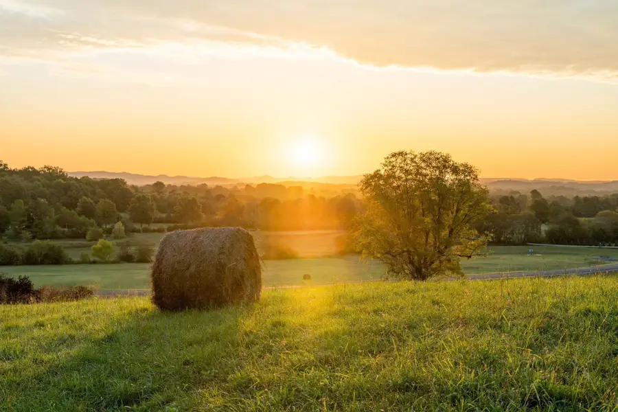 2028 Vista Creek Ln, Franklin, TN 37064 - Image #3