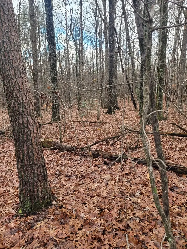 0 Hawks Bluff Rd, Spencer, TN 38585 - Image #2