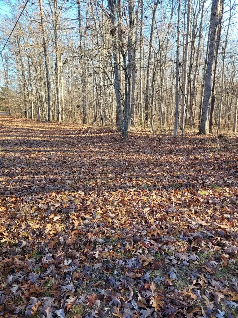 0 Hawks Bluff Rd, Spencer, TN 38585 - Image #3