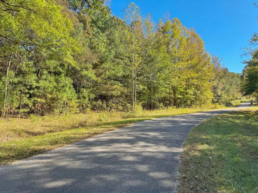 0 Batey Ln, Bruceton, TN 38317 - Image #3