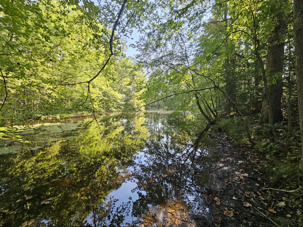 71 Sr 108, Gruetli Laager, TN 37339 - Image #1