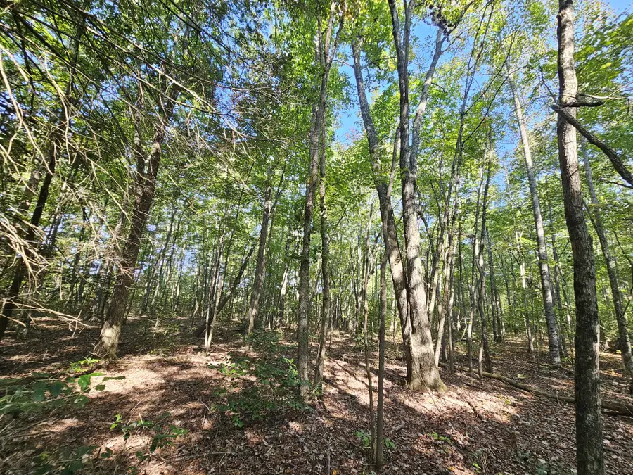 71 Sr 108, Gruetli Laager, TN 37339 - Image #3