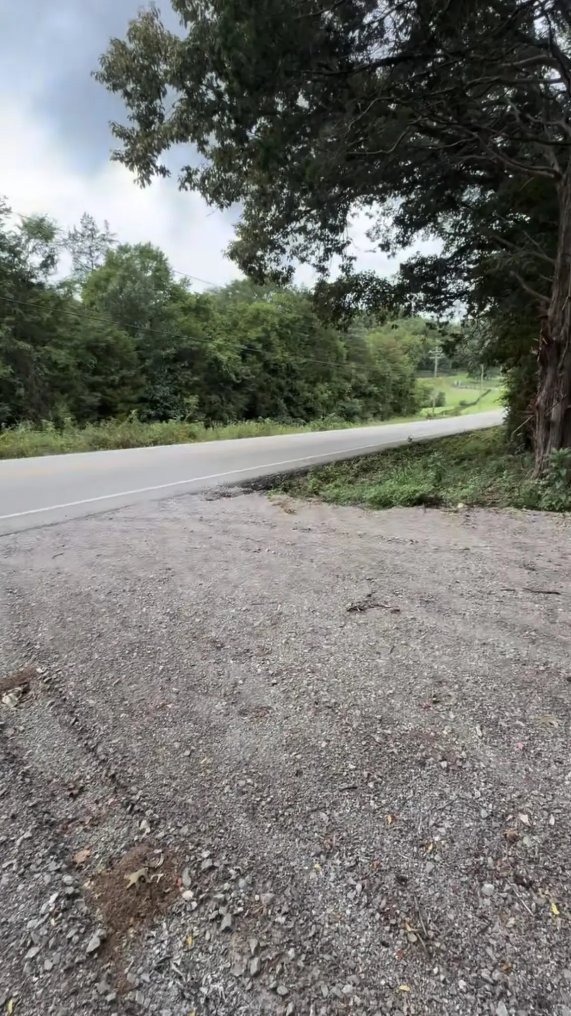 6468 Arno College Grove Rd, College Grove, TN 37046 - Image #1