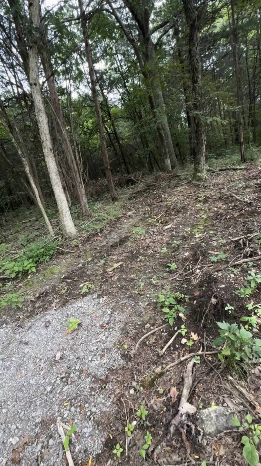 6468 Arno College Grove Rd, College Grove, TN 37046 - Image #2