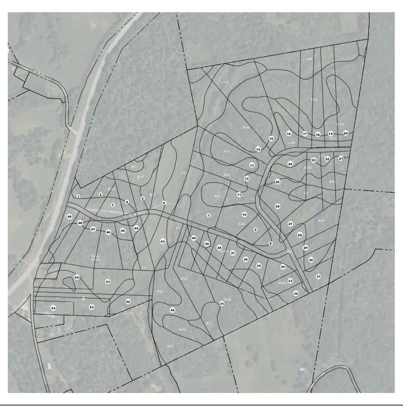 3819 Old Highway 13, Cumberland City, TN 37050 - Image #2