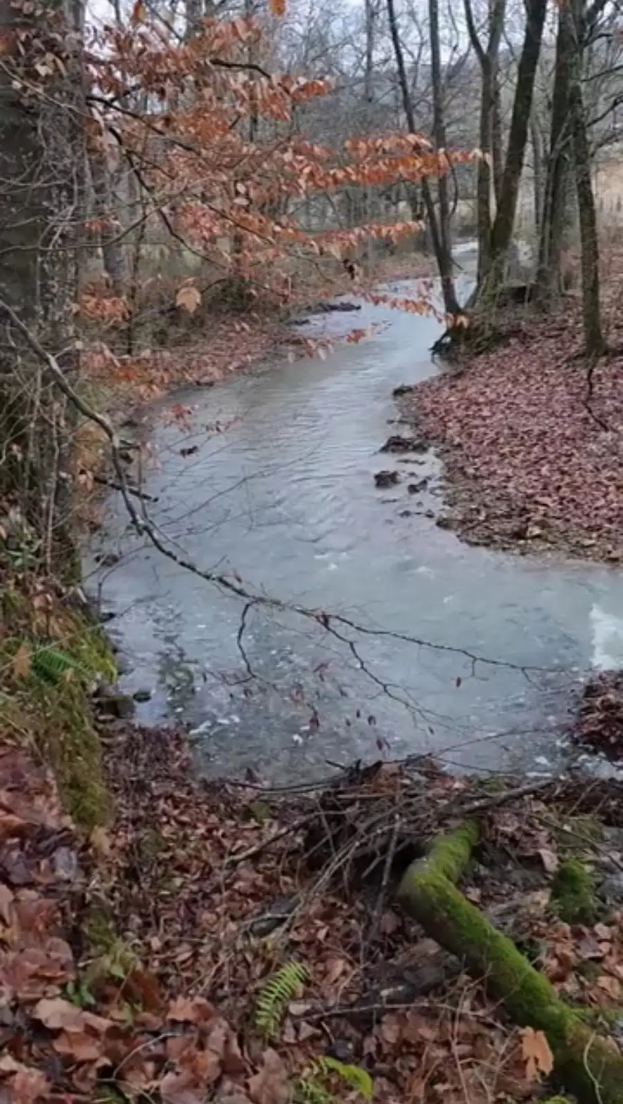 250 Justin Ln, McMinnville, TN 37110 - Image #2