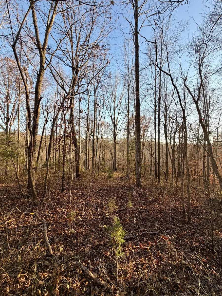 1 Sunnyside Dr, Ashland City, TN 37015 - Image #3