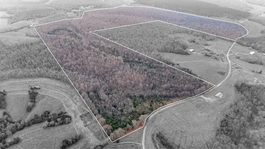 0 Waterloo Road, Westpoint, TN 38486 - Image #2