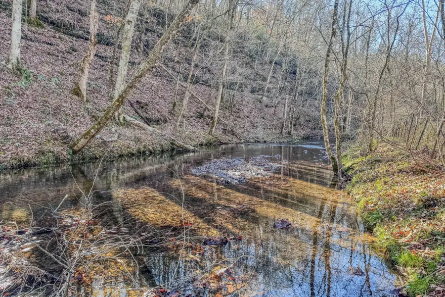 875 Waterloo Rd, Westpoint, TN 38486 - Image #3