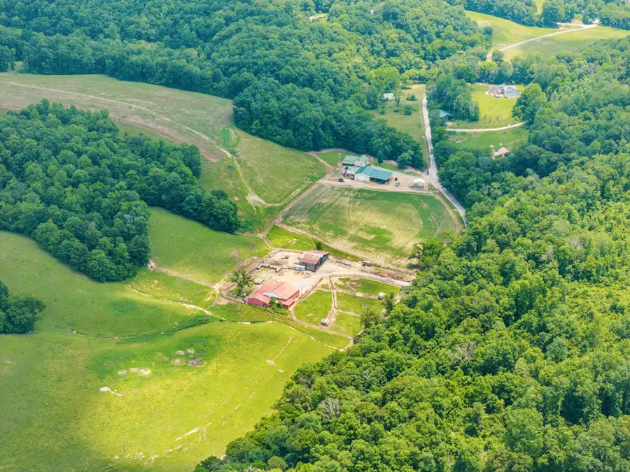 8663 Dog Creek Rd, Primm Springs, TN 38476 - Image #3