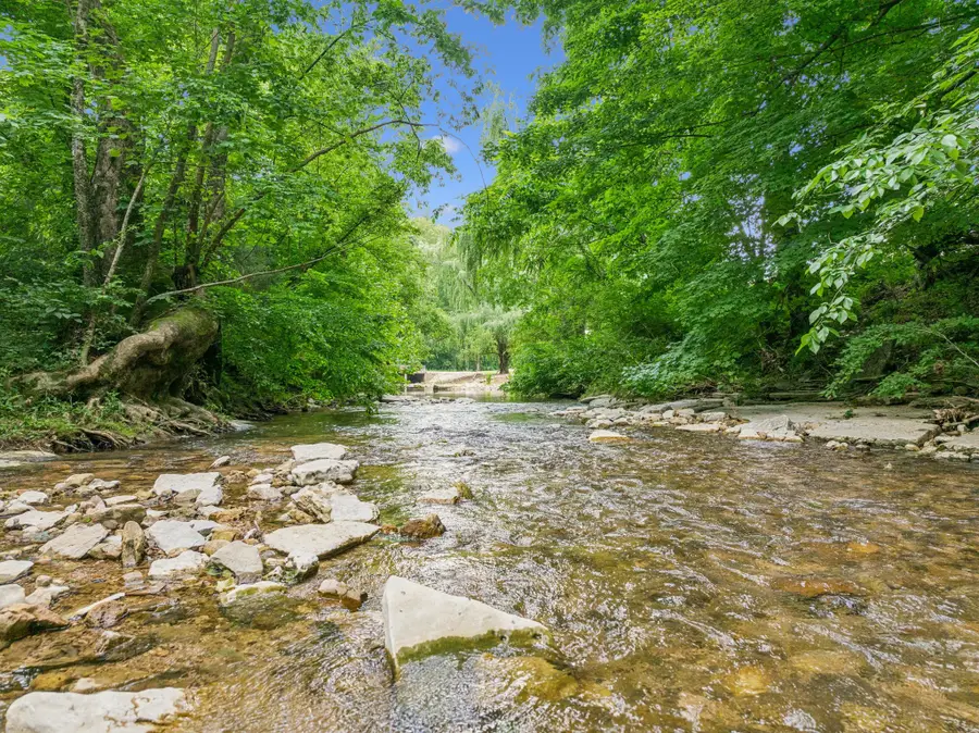 8663 Dog Creek Rd, Primm Springs, TN 38476 - Image #3