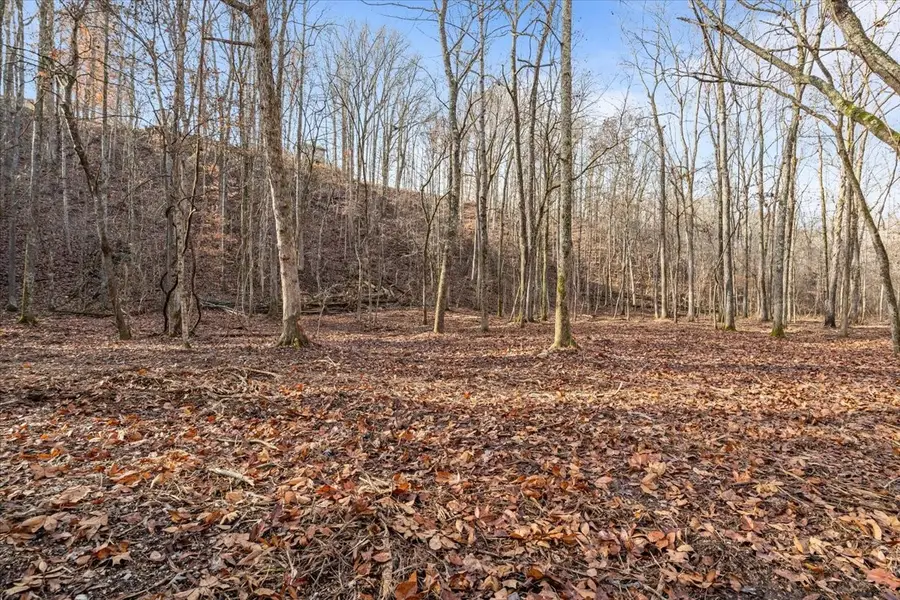 0 Rustling Oaks Dr, Waverly, TN 37185 - Image #2