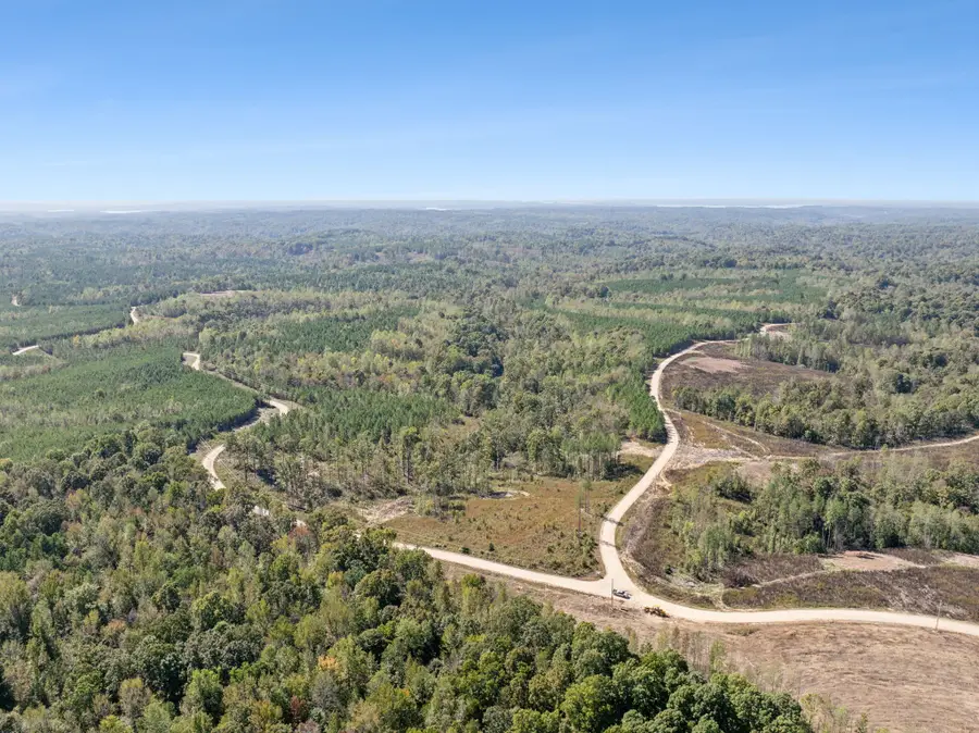 0 Cox Hollow, Dover, TN 37058 - Image #2