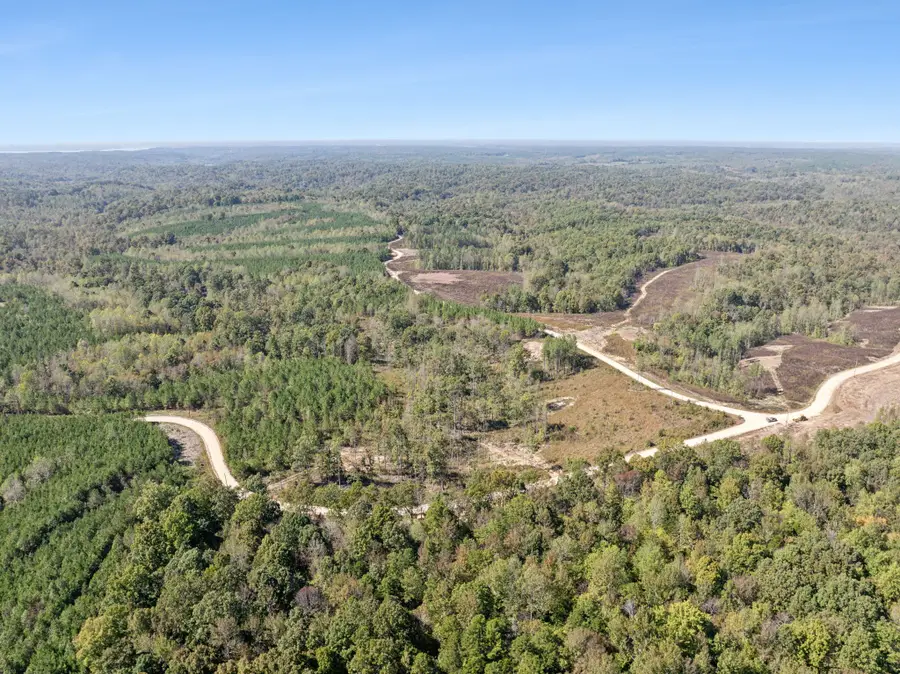 0 Cox Hollow, Dover, TN 37058 - Image #3