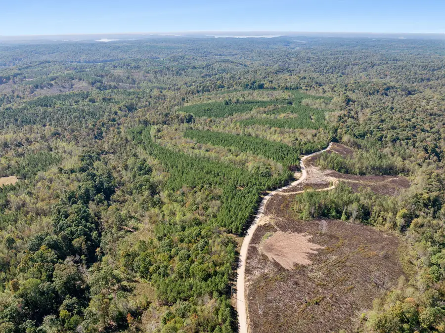 0 Cox Hollow, Dover, TN 37058 - Image #2