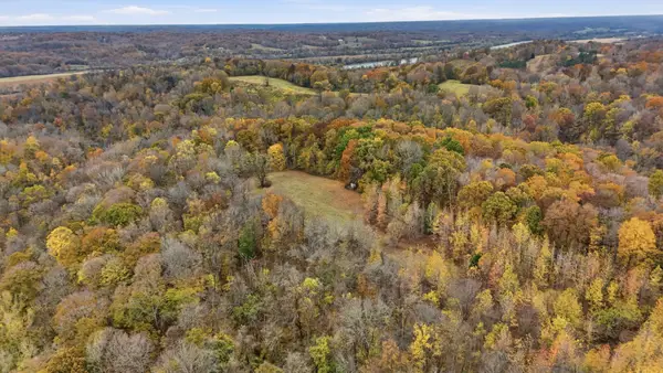 0 Vaughn Lane, Indian Mound, TN 37079