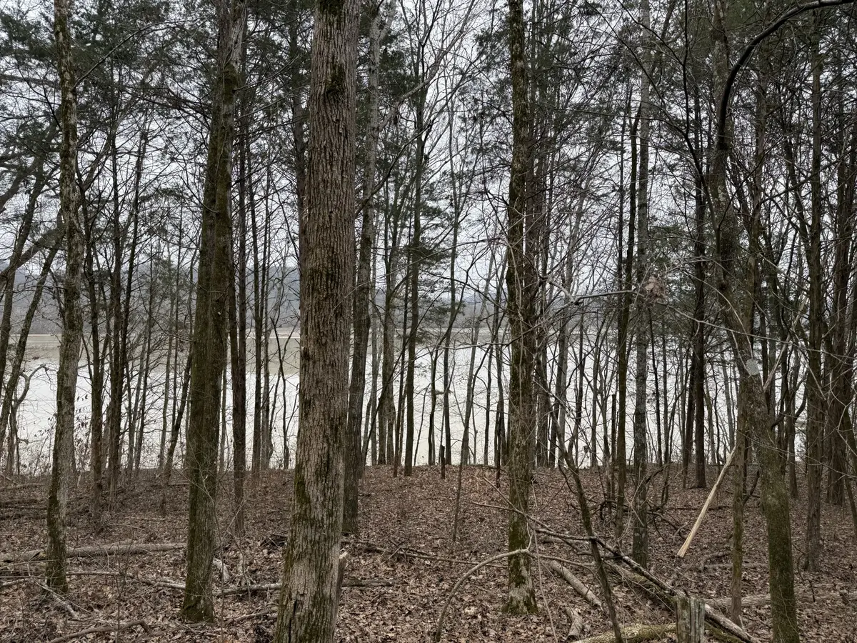 0 Cook Ln, Gainesboro, TN 38562 - Image #1